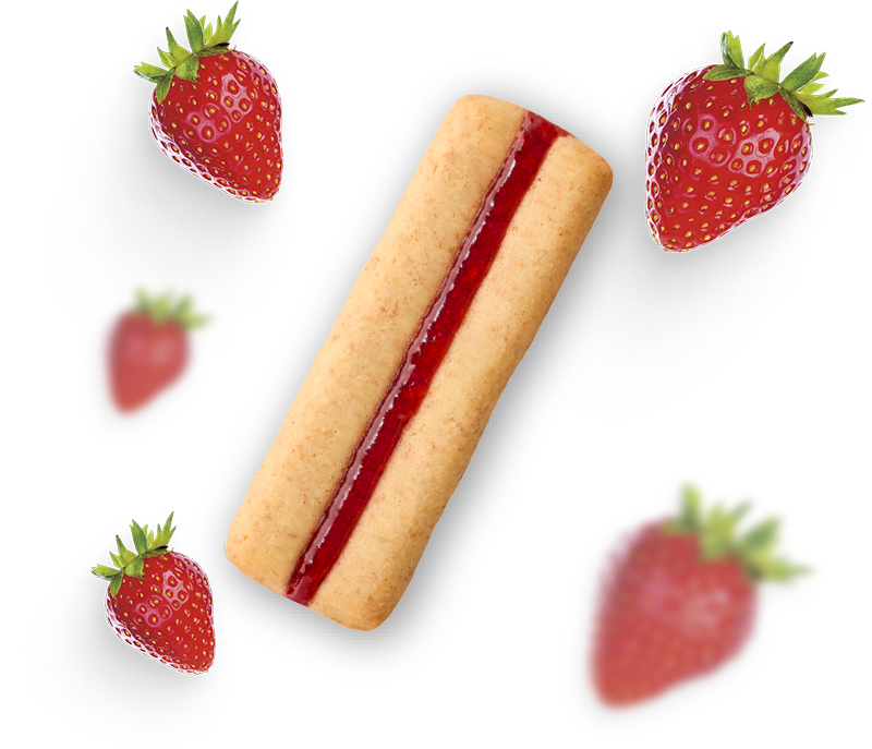 La Integral Categoria Bandas Galleta